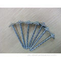 Glatter Umbrella Head Roofing Nail